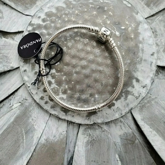 Pandora - Picture 2 of 6